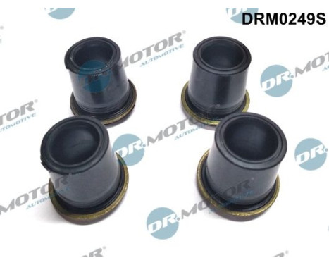 Gasket, injector holder