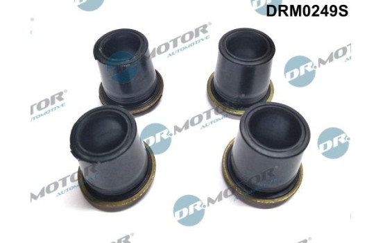 Gasket, injector holder