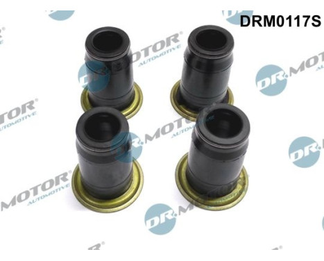 Gasket, Injector