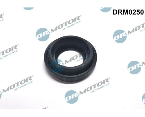 Gasket, Injector