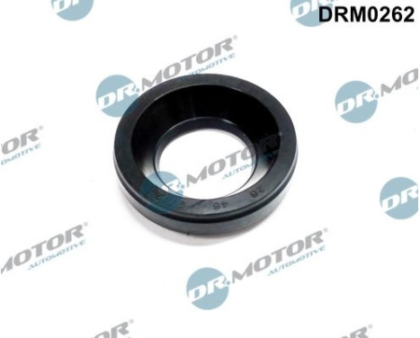 Gasket, Injector