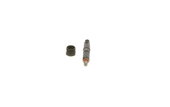 Injector 0 432 131 880 Bosch