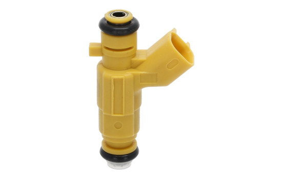 Injector 348431 Valeo