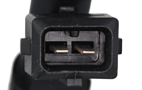 Injector/Atomizer 348208 Valeo