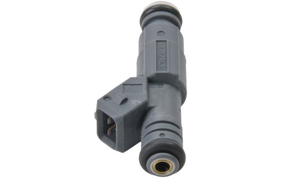 Injector/Atomizer EV6E Bosch