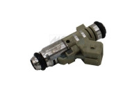 Injector/Atomizer