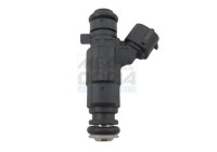 Injector/Atomizer