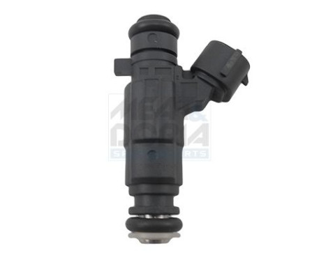 Injector/Atomizer