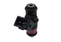 Injector/Atomizer