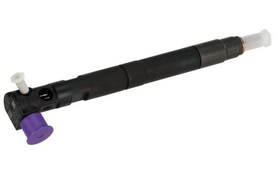 Injector Delphi 28229873