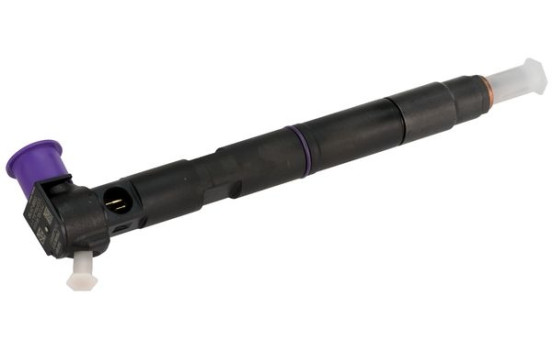 Injector Delphi R00203D