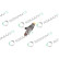 REMAN INJ CR DELPHI BEBJ1C00101, Thumbnail 5