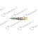 REMAN INJ CR DELPHI BEBJ1D04001