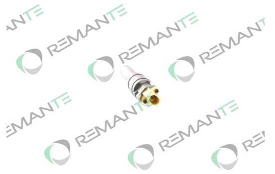 REMAN INJ CR DELPHI BEBJ1D04001, Image 2