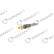 REMAN INJ CR DELPHI BEBJ1D04001, Thumbnail 3