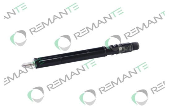 REMAN INJ CR DELPHI R01001A, Image 6