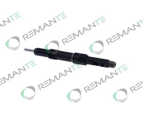 REMAN INJ CR DELPHI R01001D