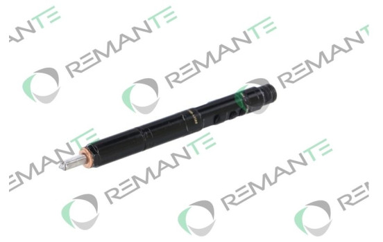 REMAN INJ CR DELPHI R02801D, Image 6