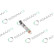 REMAN INJ CR DELPHI R03901D, Thumbnail 5