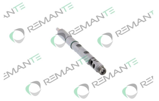 REMAN INJ CR DELPHI R05001D, Image 2