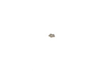 Repair kit, common rail system F 00Z C98 004 Bosch