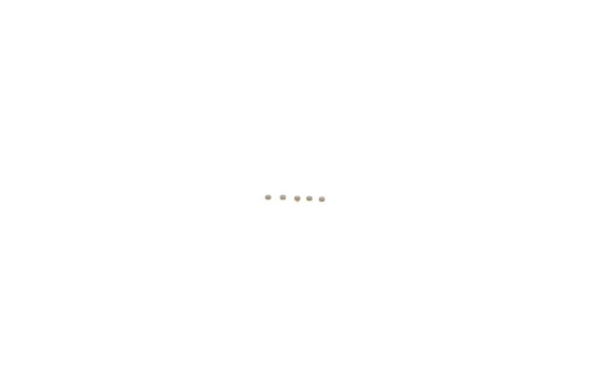 Repair kit, common rail system F 00Z C99 733 Bosch, Image 3