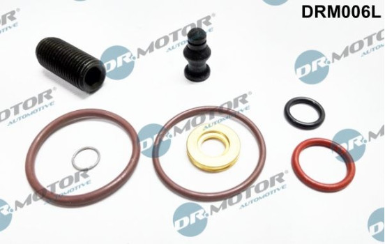Repair kit, pump-injector unit