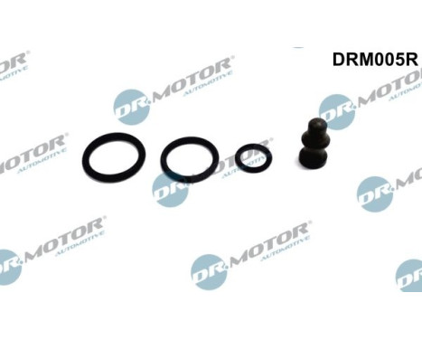 Repair kit, pump-injector unit