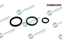 Repair kit, pump-injector unit