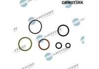 Repair kit, pump-injector unit