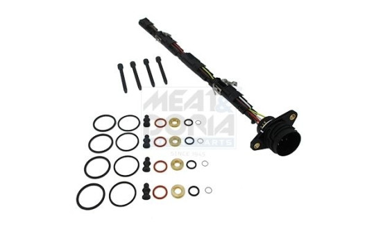 Repair kit, pump-injector unit