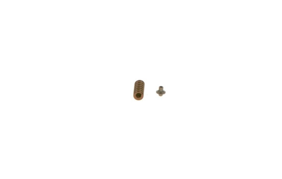 Repair Kit, pump-nozzle unit F 00H 4S0 008 Bosch