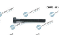 Screw, injection nozzle holder