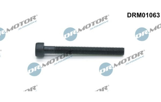 Screw, injection nozzle holder