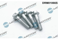 Screw, injection nozzle holder