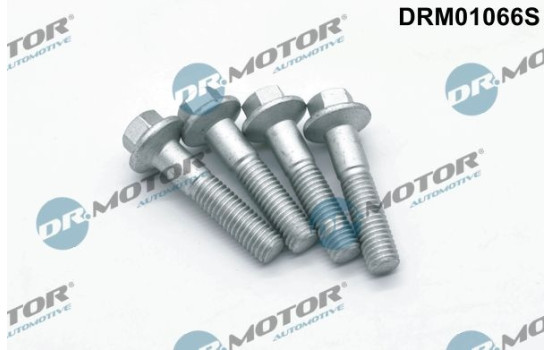 Screw, injection nozzle holder