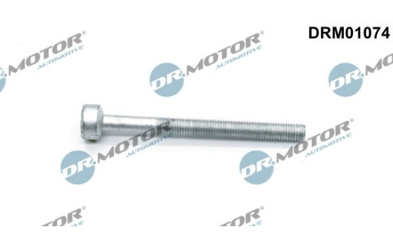 Screw, injection nozzle holder