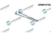 Screw, injection nozzle holder