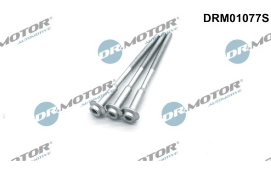 Screw, injection nozzle holder
