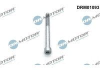 Screw, injection nozzle holder