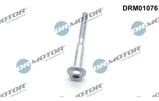 Screw, injection nozzle holder