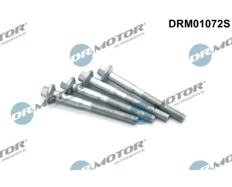 Screw, injection nozzle holder