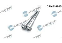 Screw, injection nozzle holder