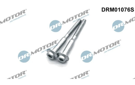 Screw, injection nozzle holder