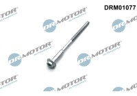 Screw, injection nozzle holder