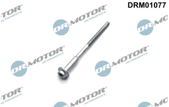 Screw, injection nozzle holder