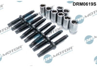 Screw, injection nozzle holder