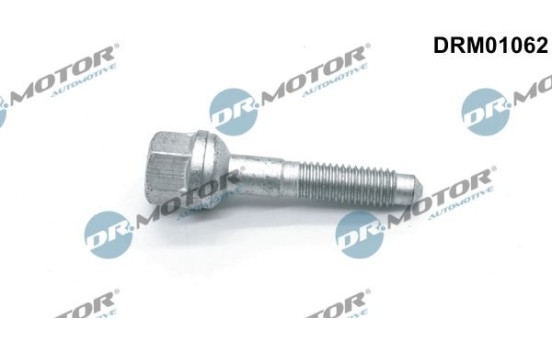 Screw, injection nozzle holder