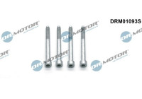 Screw, injection nozzle holder