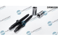 Screw, injection nozzle holder